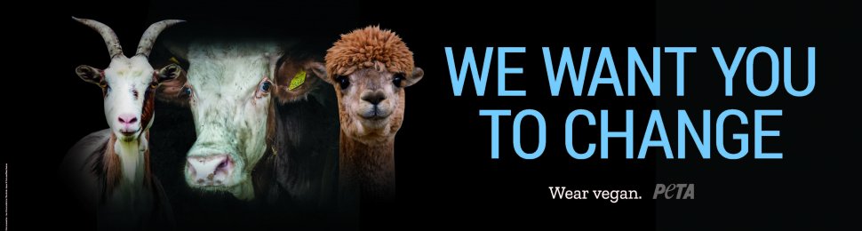 We Want You To Change. Wear Vegan. (Goat, Cow, Alpaca)