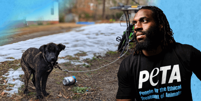 Matt Judon in PETA tshirt next to sad dog in snow