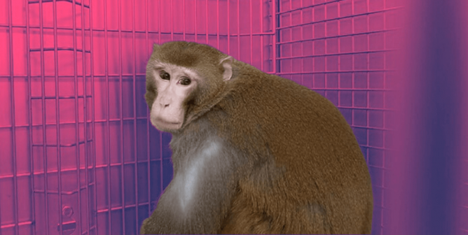 Cornelius trapped in cage