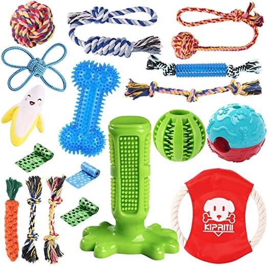 20 Interactive Dog Toys to Keep Your Pup Busy - PureWow