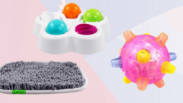 Working From Home? Keep Your Dog Happy With These 7 Toys