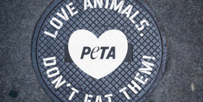 PETA message on manhole cover