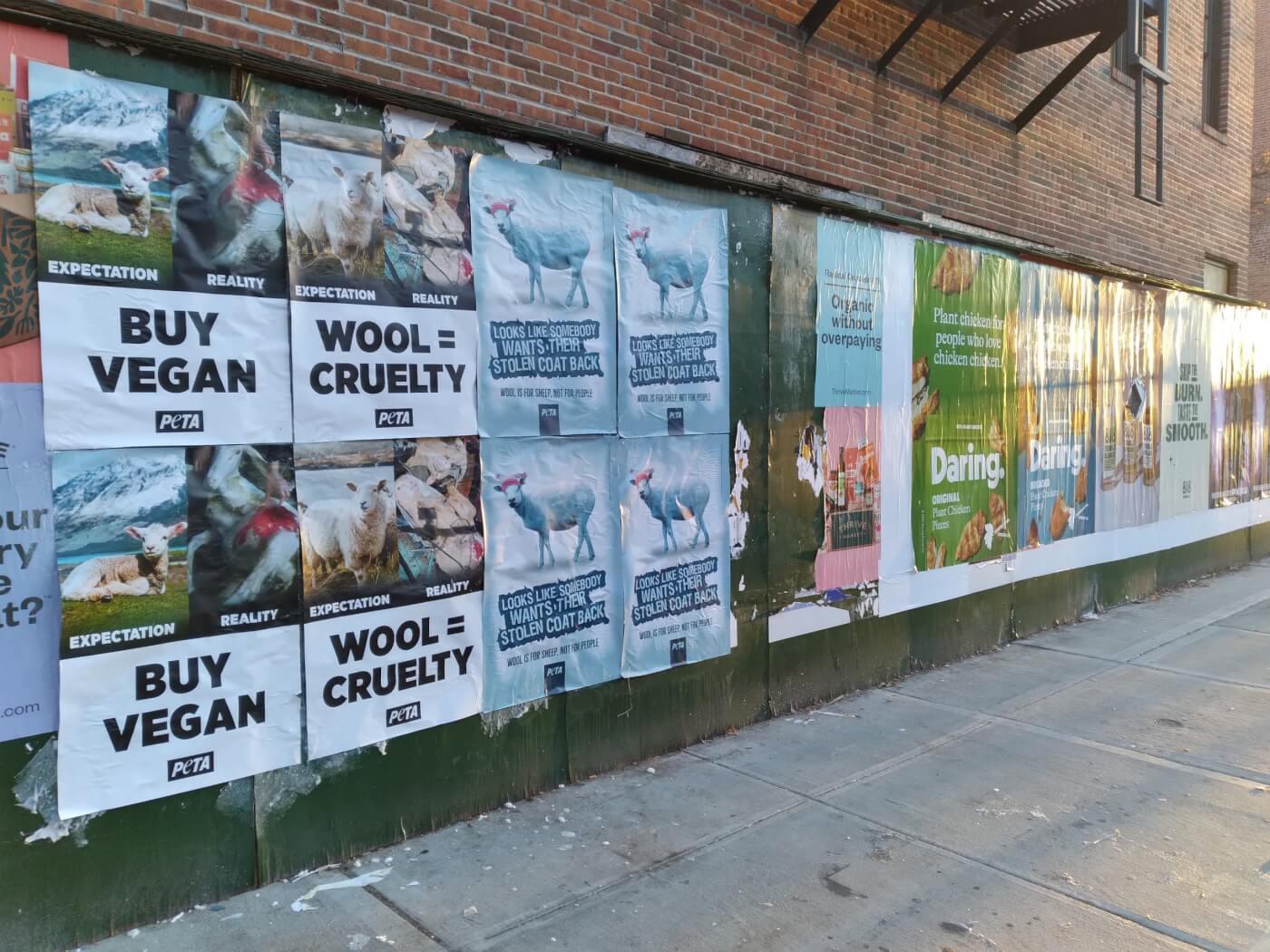 nyc flyposters for wool free winter