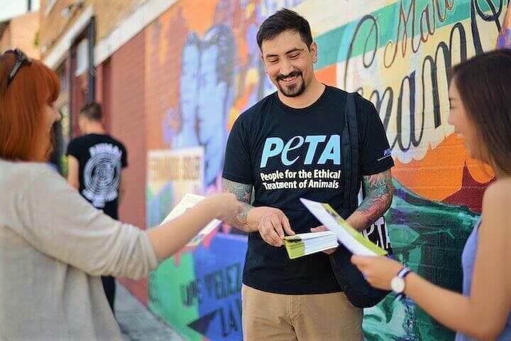 Help Animals Hanukkah': 8 Days, 8 Actions | PETA