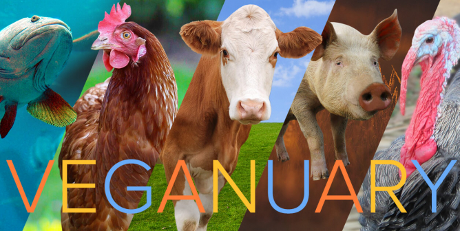 Who ‘Veganuary’ Is Really About: Animals