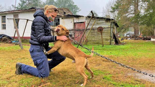 21 Chained Dogs Helped by PETA in 2021