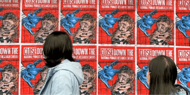 Provocative Street Art Blitz Targets Federally Funded Facility