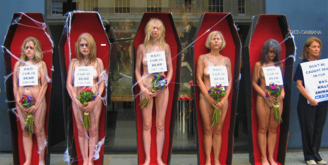 Dolce and Gabbana coffin protest (PETA UK)