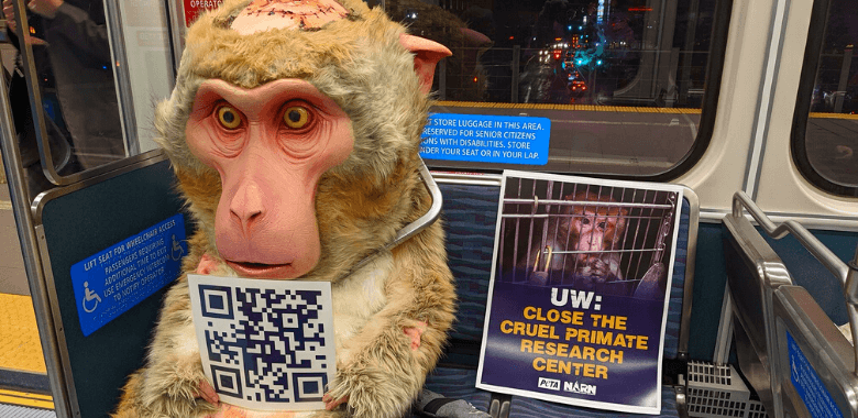 People for the Ethical Treatment of Animals (PETA)