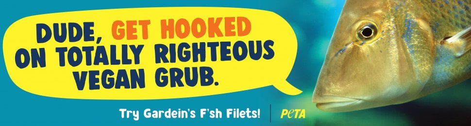 Dude, Get Hooked On Totally Righteous Vegan Grub