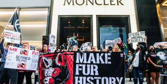 moncler fur-free after pressure from activists, peta entities