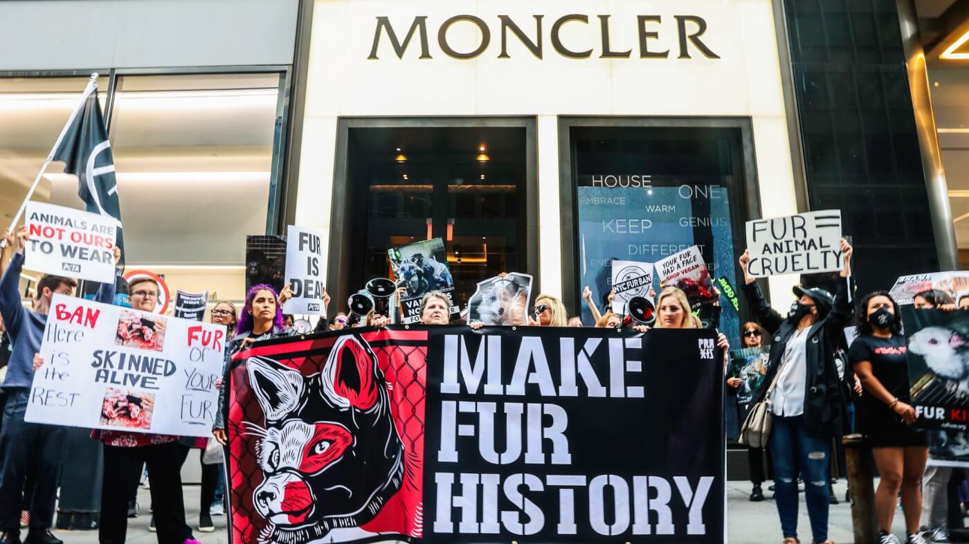 moncler fur-free after pressure from activists, peta entities