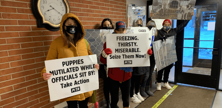 Peaceful PETA Protesters Stood It Out Until All Dogs Were Freed From Breeder’s Kennel