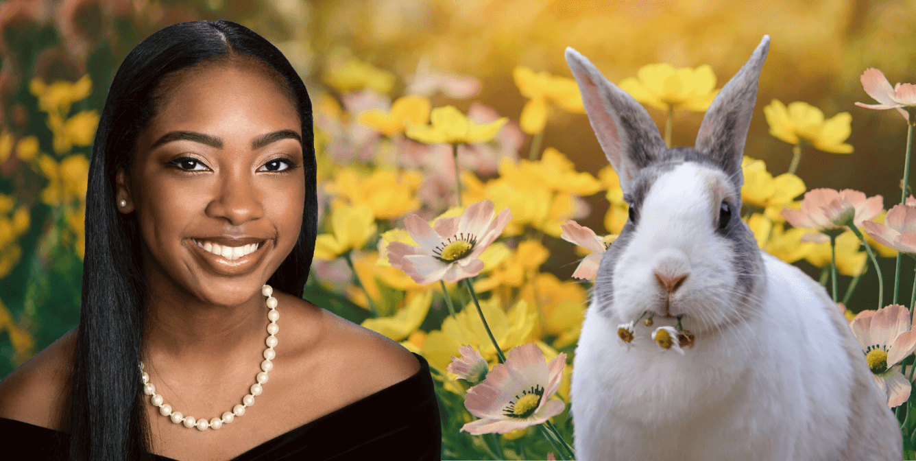 Award image of London Harper with rabbit eating flowers