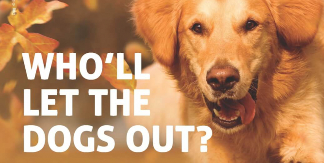 (VICTORY!) Who’ll Let The Dogs Out?