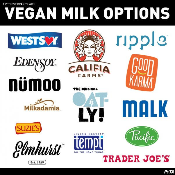 Vegan milk brands