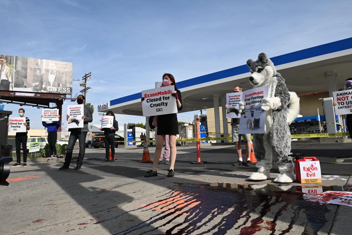 peta protests exxonmobil at iditarod demo