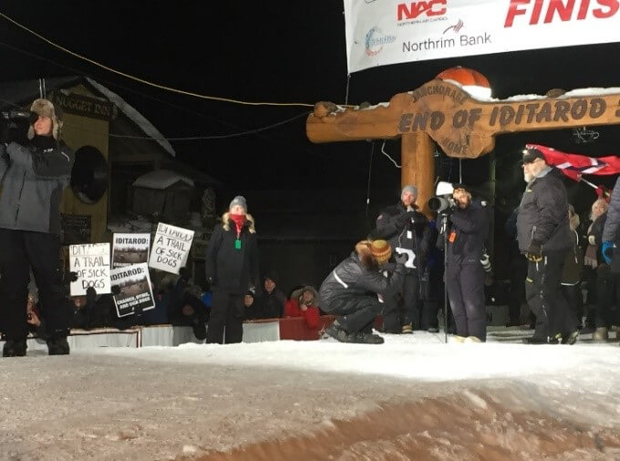 peta protests iditarod at finish line