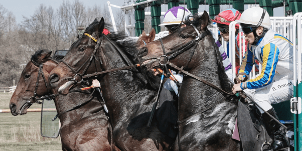 3 horses take off at the gate