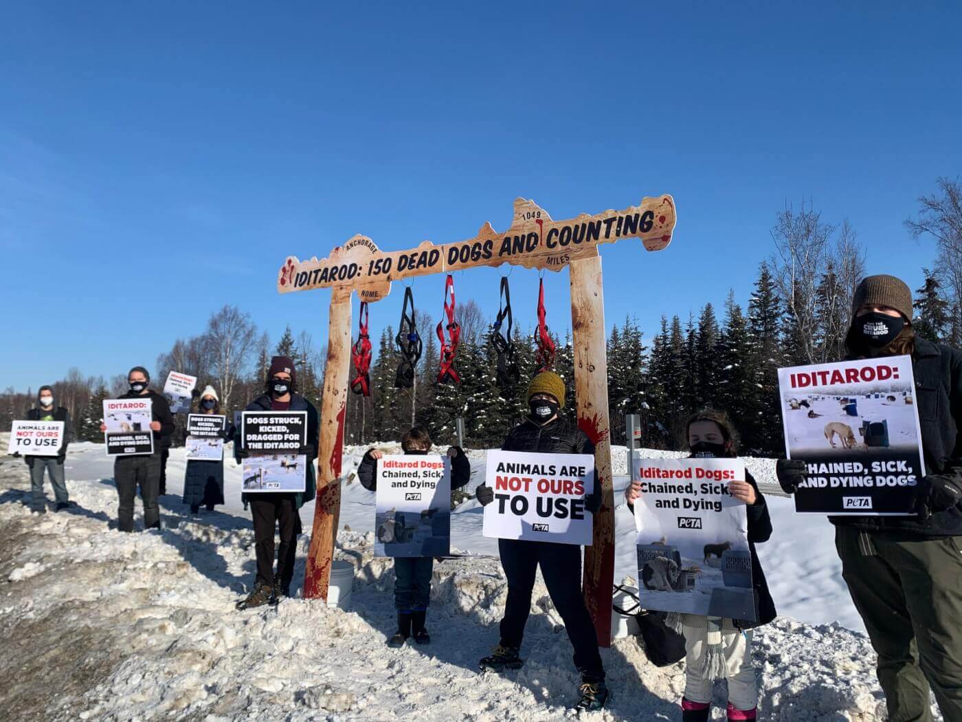 peta protests cruelty at iditarod start demo