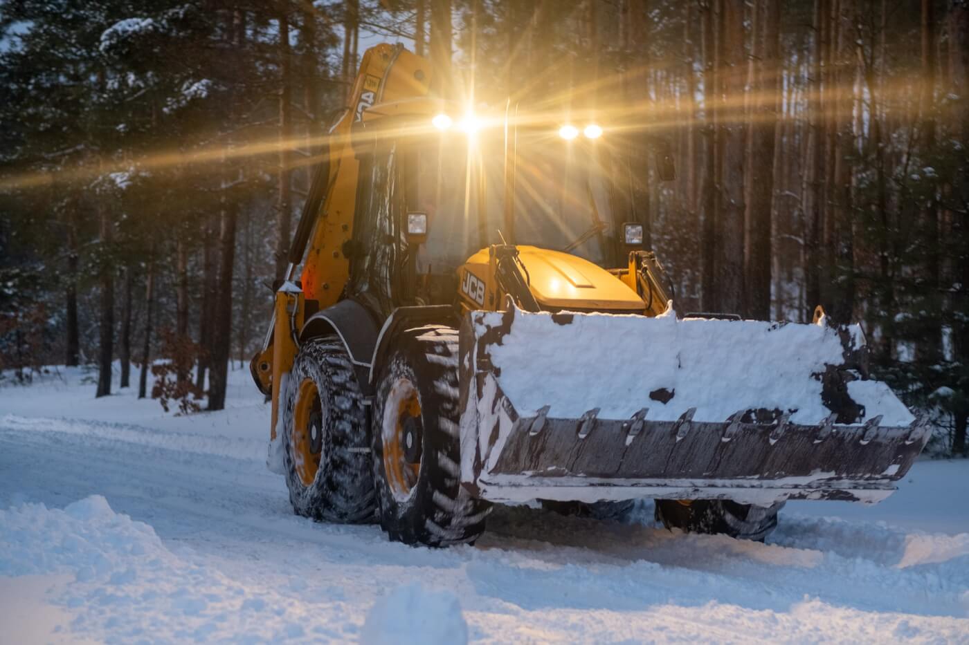 iditarod losers offered help become snowplow operators PETA