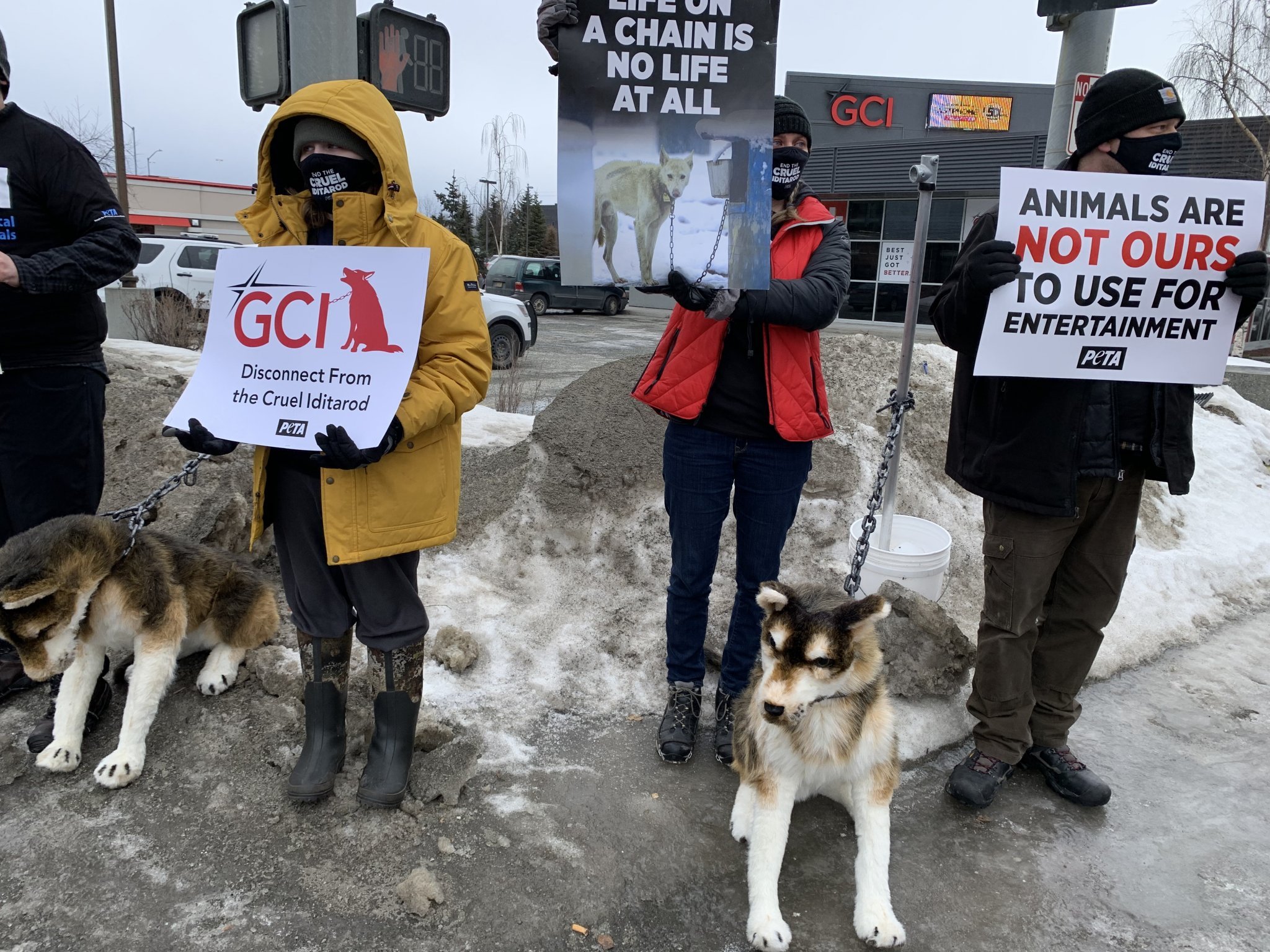 Alaska Here's 6 Ways YOU Can Help End the Iditarod PETA