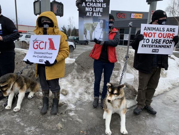 GCI: Disconnect From the Cruel Iditarod