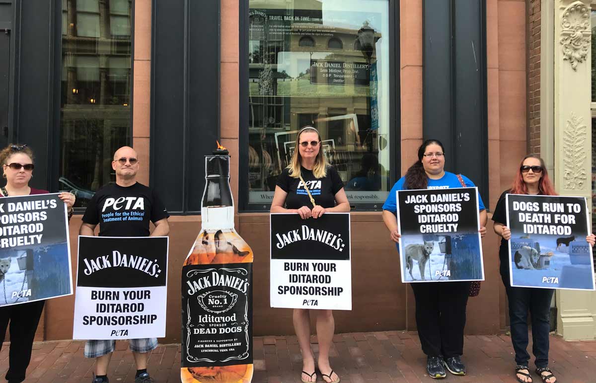 peta protests jack daniels at iditarod demo