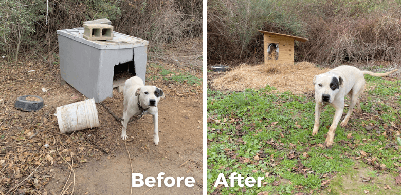 People for the Ethical Treatment of Animals (PETA)