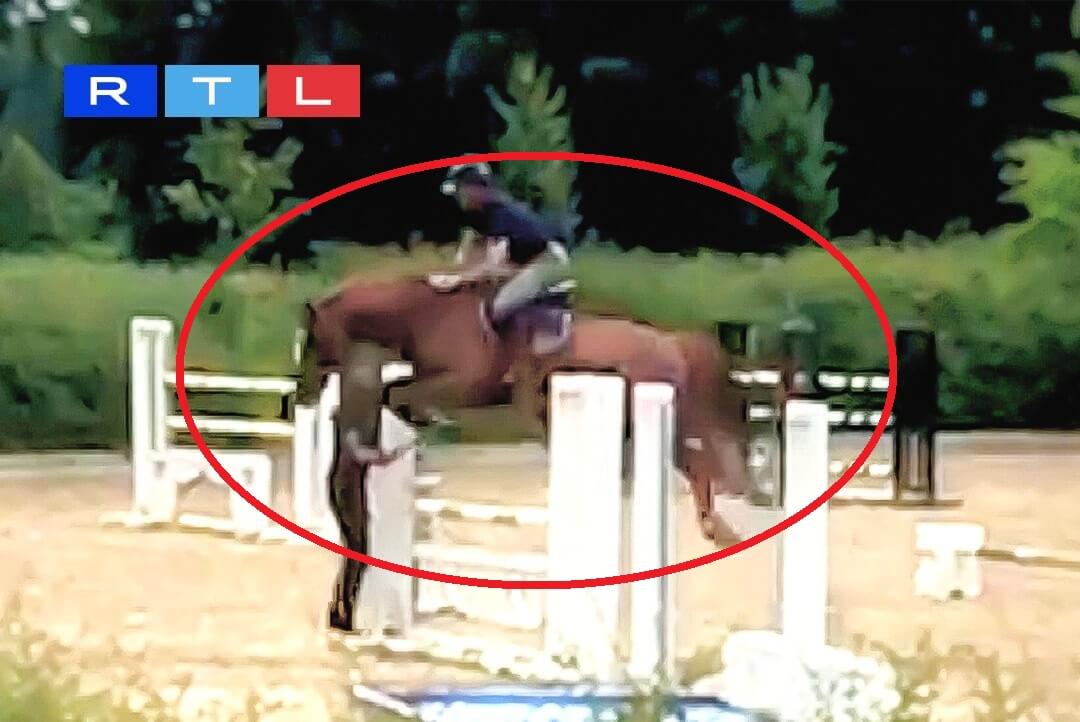 ludger beerbaum video prompts calls for olympic ban of equestrian events
