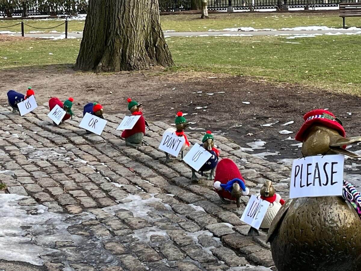 "Please Love Us, Don't Eat or Wear Us" signs at the Make Way for Ducklings statues in Boston, MA