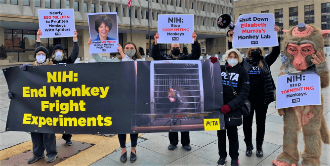 PETA Exposé: Inside NIH’s Annual Party That Celebrates Killing Animals