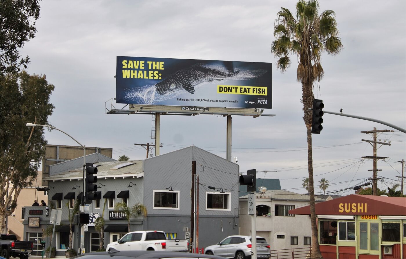 save the whales billboard in san diego, california