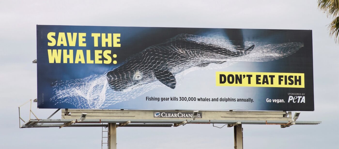 save the whales billboard in san diego, california
