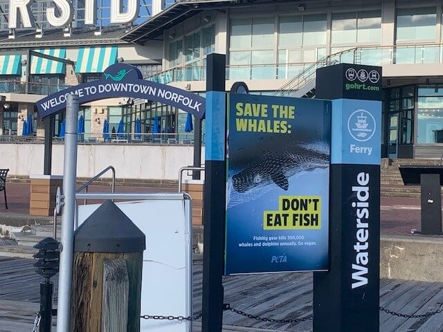save the whales peta ad on waterside ferry