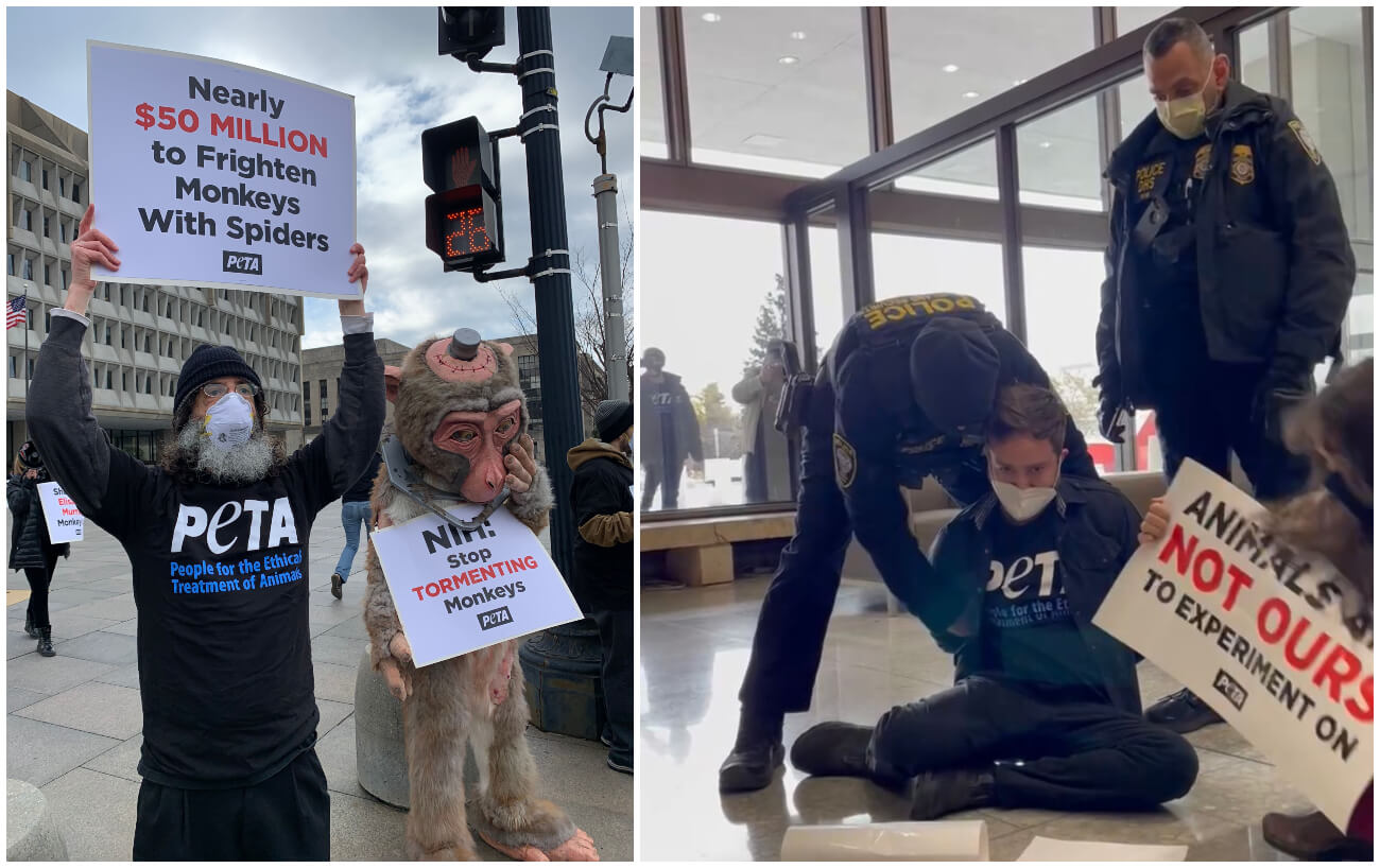 supporters PETA arrested HHS protest