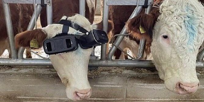This Bizarre Dairy Farm Image Looks Like a ‘Black Mirror’ Episode