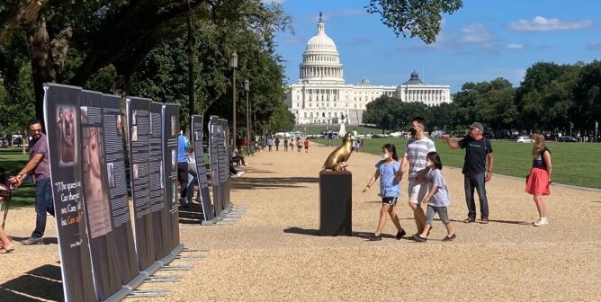 without consent exhibit in washington dc