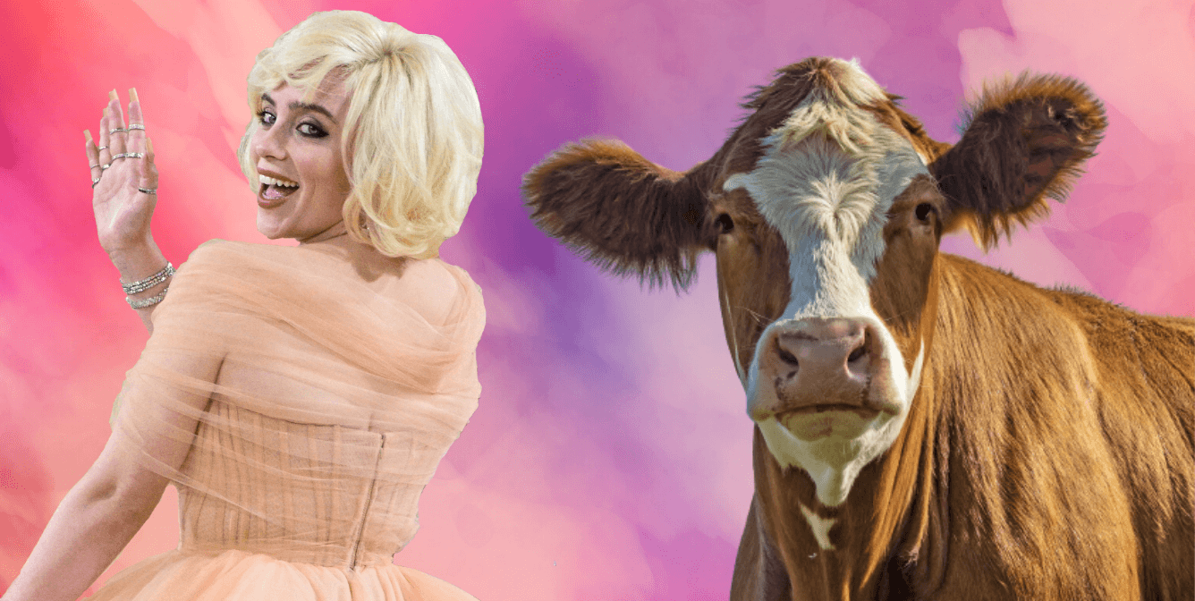 These Vegan Celebrities Will Inspire You in 2026 - PETA