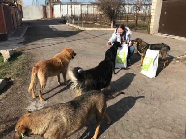 Update: 740+ Animals Rescued From War-Torn Ukraine 