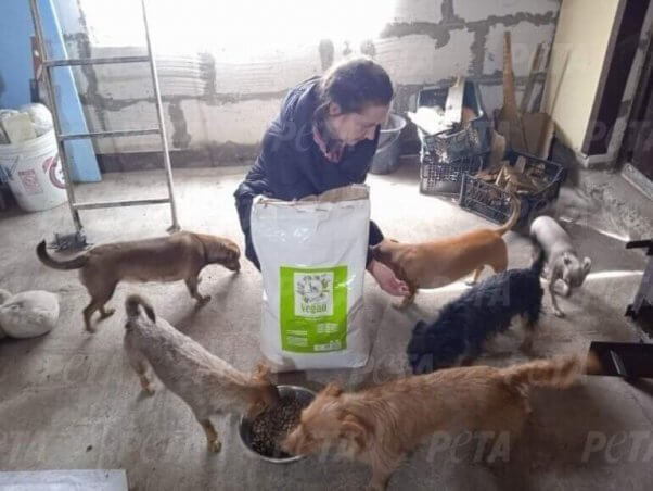 Nearly 1,000 Animals Rescued From War-Torn Ukraine 