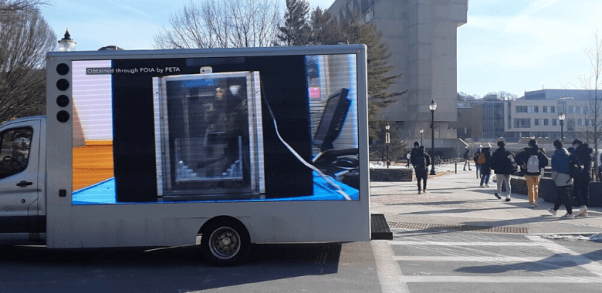 Marmoset Laboratory Video Blasted on UMass Campus