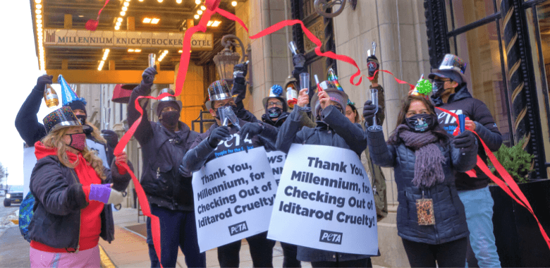 Protest Turns to Party After Millennium Hotels Cuts Ties With Iditarod