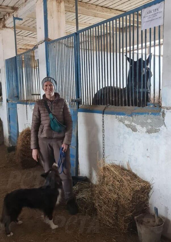 Ukraine: Doing Whatever It Takes to Feed 100+ Starving Horses