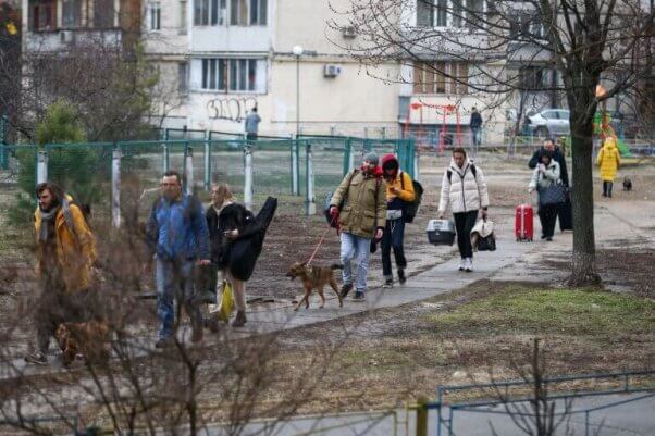 PETA Germany Mobilizes for Families Fleeing Ukraine