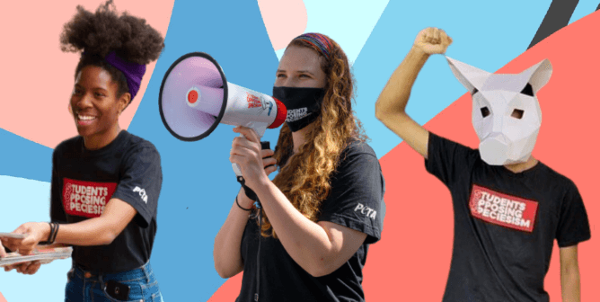 Get Paid to Lead the Charge Against Speciesism—Become an SOS Campus Rep