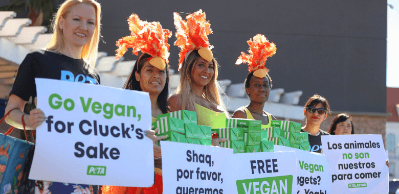 Give a ‘Cluck,’ Shaq! PETA Appeals to Athlete Turned Restaurateur