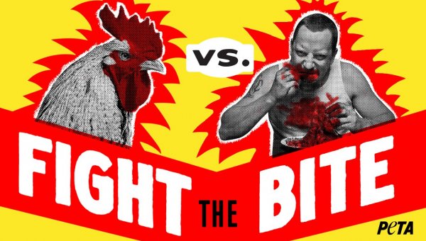PETA Joins the ‘Chicken Wars’ with Super Bowl ‘Fight the Bite’ Commercial