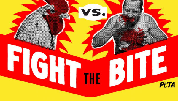 fight the bite feature image