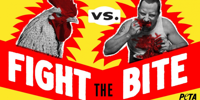 fight the bite feature image